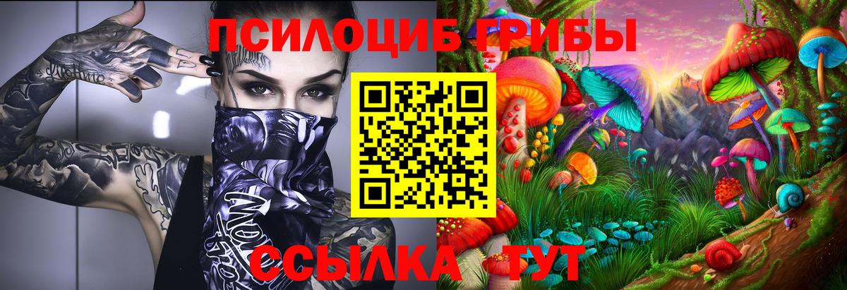 Псилоцибиновые грибы Psilocybe Омск